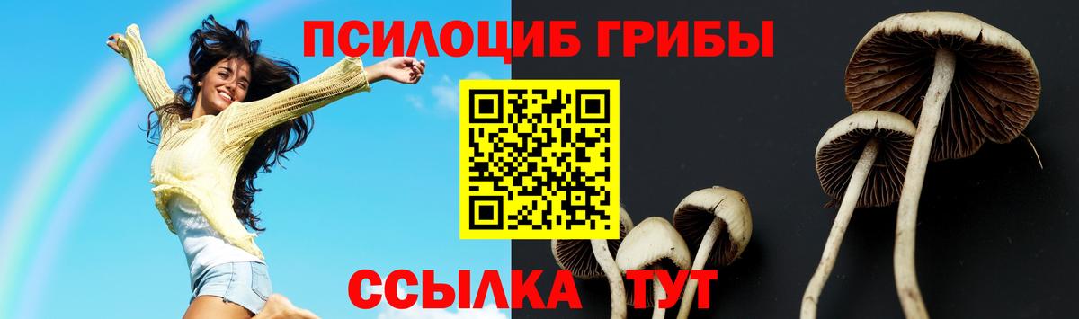 Галлюциногенные грибы мухоморы  Галлюциногенные грибы ЛСД  Осинники  Вход с VPN 